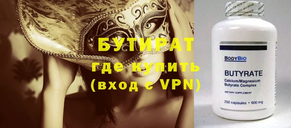 индика Бородино