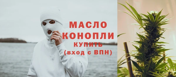 индика Бородино