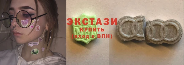 индика Бородино