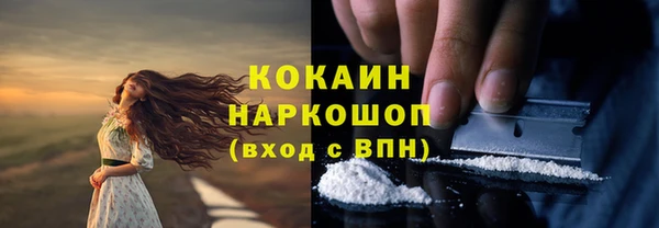 индика Бородино