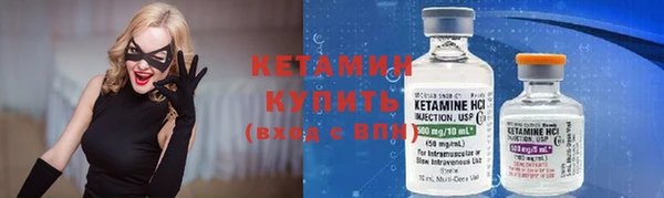 индика Бородино