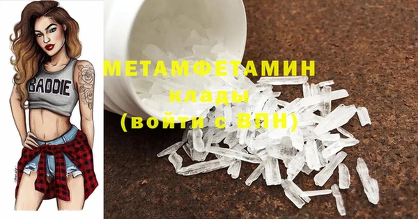 индика Бородино