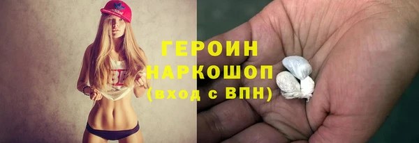 индика Бородино