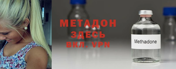 индика Бородино
