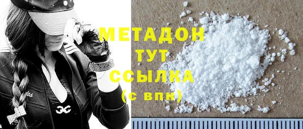индика Бородино