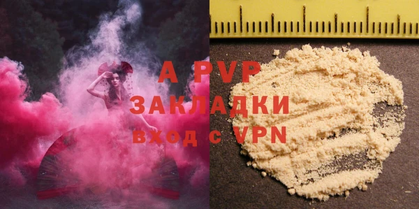 индика Бородино