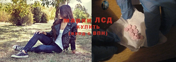 индика Бородино