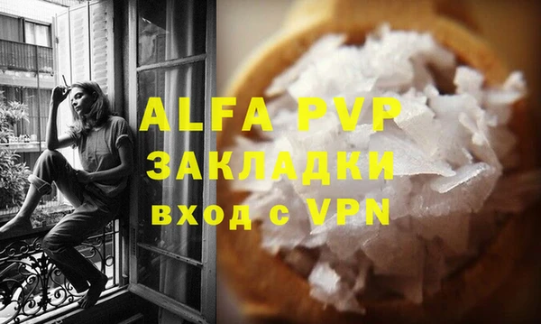 индика Бородино