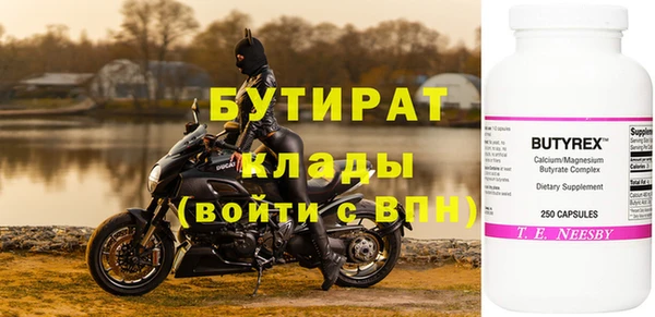 индика Бородино