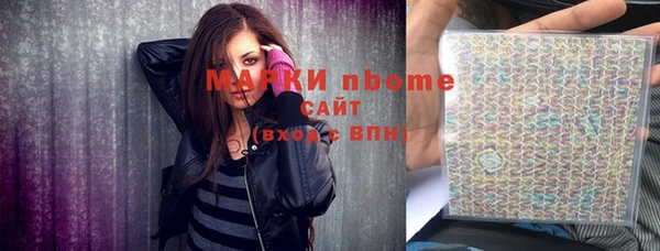 индика Бородино