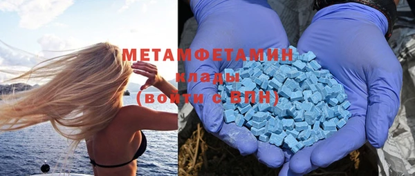 индика Бородино
