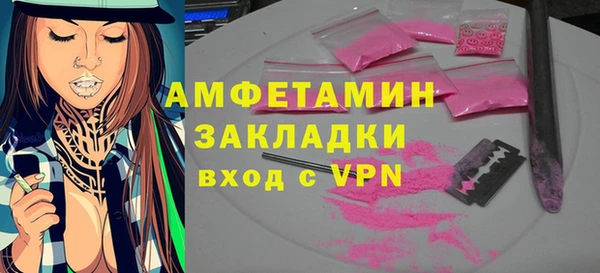 индика Бородино