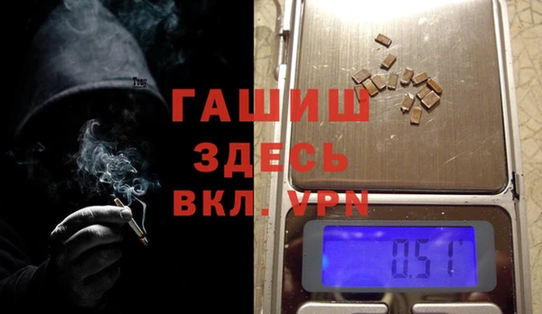 индика Бородино