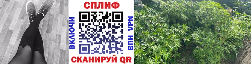 как найти наркотики  Березники  МАРИХУАНА VHQ 